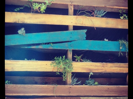 recycling pallets into planters
